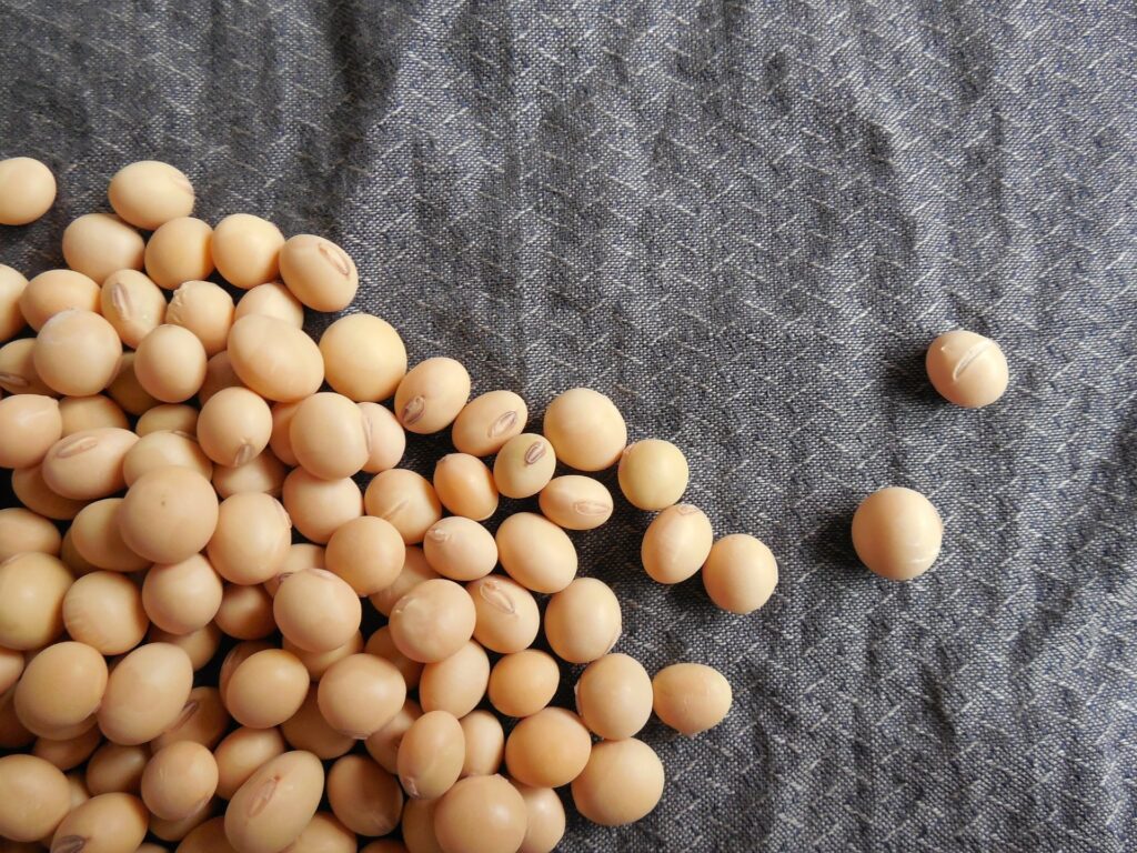 Foods That Lower Cholesterol Fast - Soy