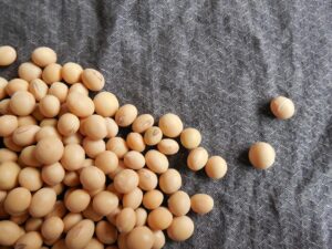 Foods That Lower Cholesterol Fast - Soy