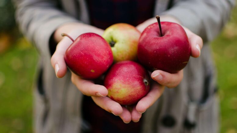 Is Apple Good For Constipation?