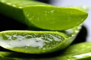 best home remedy for cold sore - aloe