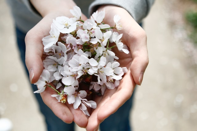 home remedies for cracked hands - hands with flower
