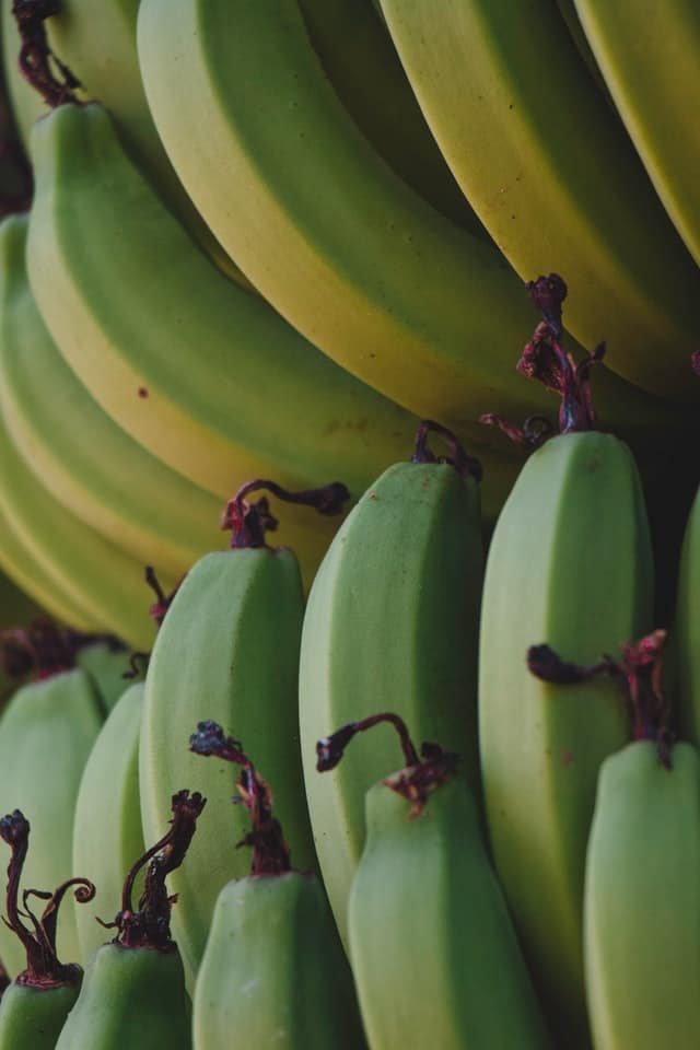 Is banana good for constipation? Green banana can have the opposite effect.