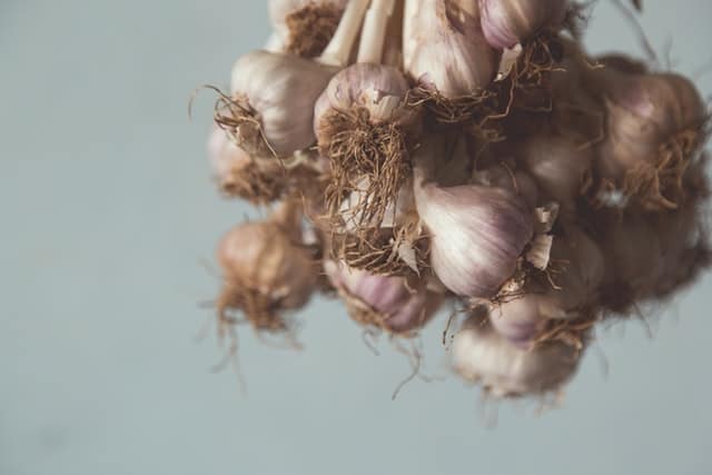 Foods for Breastfeeding Moms - garlic