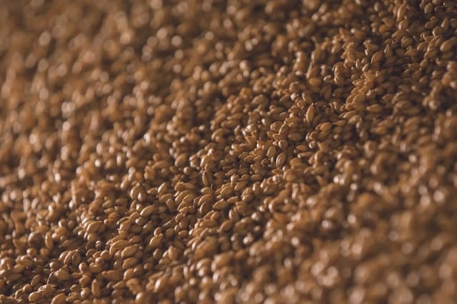 Home Remedies For Shortness Of Breath - Flax Seeds