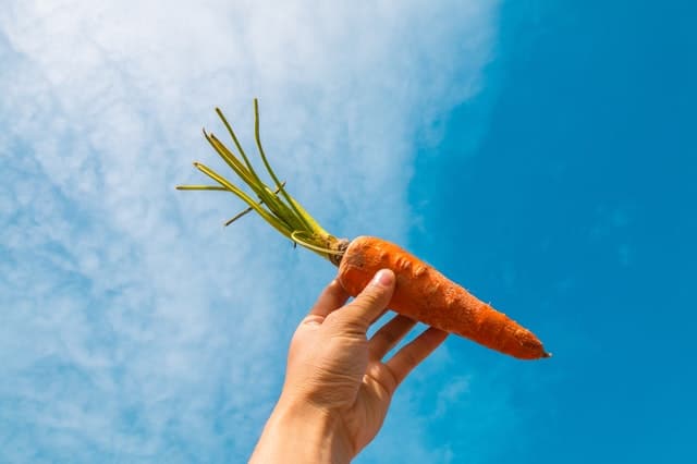 Home Remedies For Shortness Of Breath Home Remedies For Shortness Of Breath - carrot