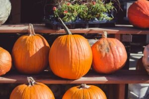 How to Make Your Eyes Look Brighter Without Makeup - pumpkin