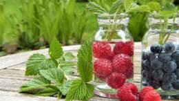 how to lose belly fat fast at home - water