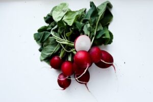 natural antibiotics - radish