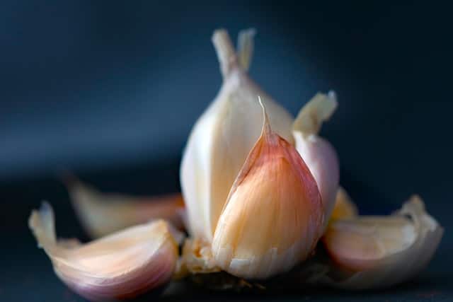 nutrients for lung health - garlic