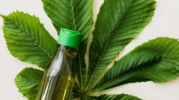 how to make homemade shampoo - Herbal shampoo