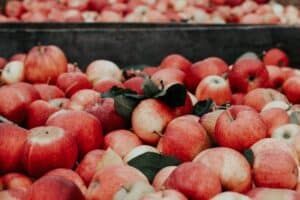 Juice for Constipation: Apple Juice Juice for Constipation