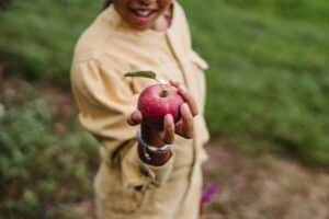 Is Apple Good For Acid Reflux? - Learn More