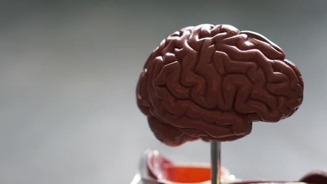 brain exercises to improve memory