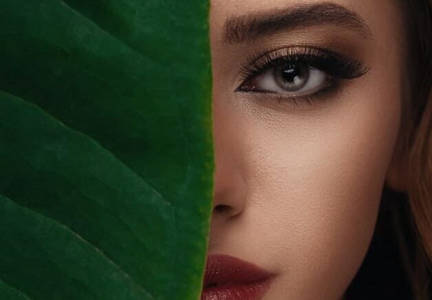 how to make eyebrows grow faster - make eyebrows grow faster