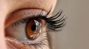 How to curl your eyelashes without a curler