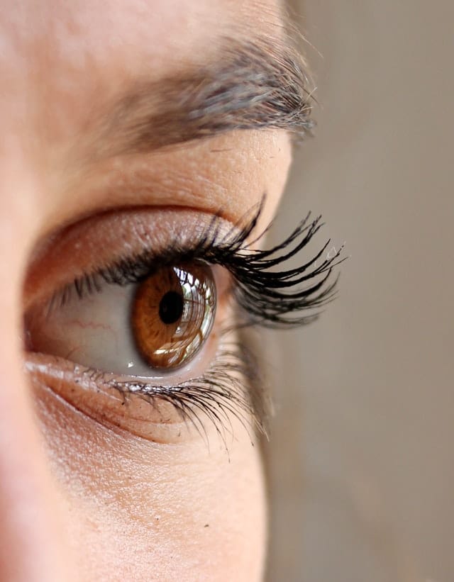 How To Curl Your Eyelashes Without a Curler Health Learner
