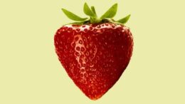 Best Foods for Dental Health