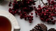 Rooibos Tea Side Effects