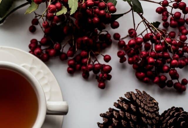 Rooibos Tea Side Effects