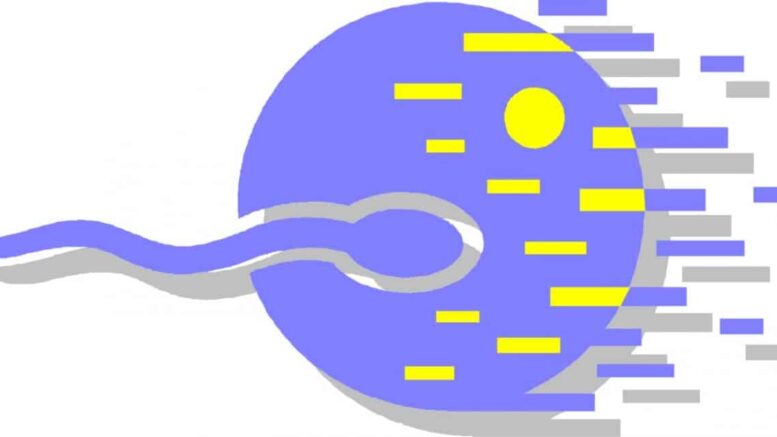 Intrauterine Insemination vs Artificial Insemination
