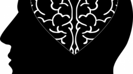 What is the difference between mental and emotional health