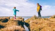 Understanding Separation Anxiety