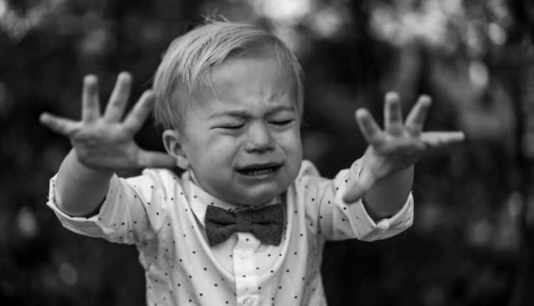 Separation Anxiety Understanding Separation Anxiety Symptoms