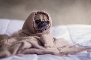 Why Does Your Anxiety Get Seriously Worse At Night? 4 Ways to Fix It