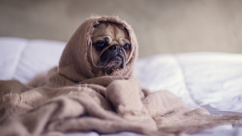 Why Does Your Anxiety Get Seriously Worse At Night? 4 Ways to Fix It