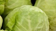 Is cabbage good for diabetics