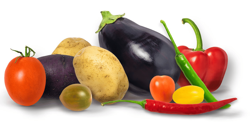 Foods That Cause Anxiety and Panic Attacks