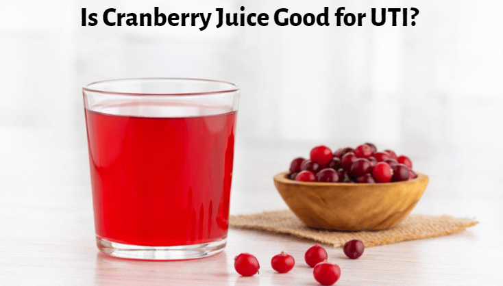 Is Cranberry Juice Good for UTI